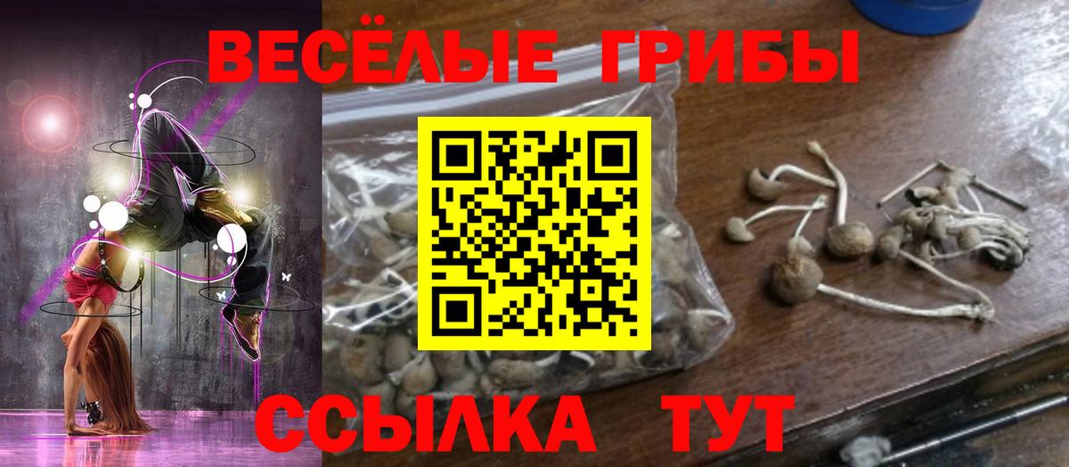 Гусиноозёрск  Псилоцибиновые грибы Psilocybe  Псилоцибиновые грибы Psilocybine cubensis  Вход с VPN 