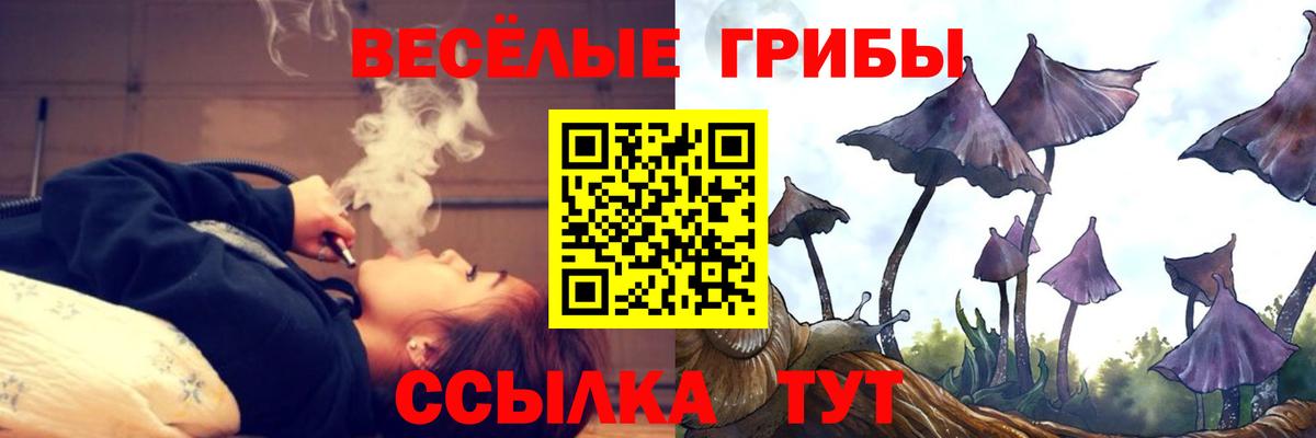 Галлюциногенные грибы мицелий Гусиноозёрск